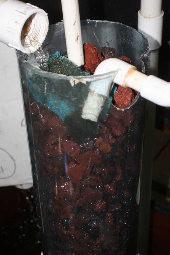 Lava rock for filter media?